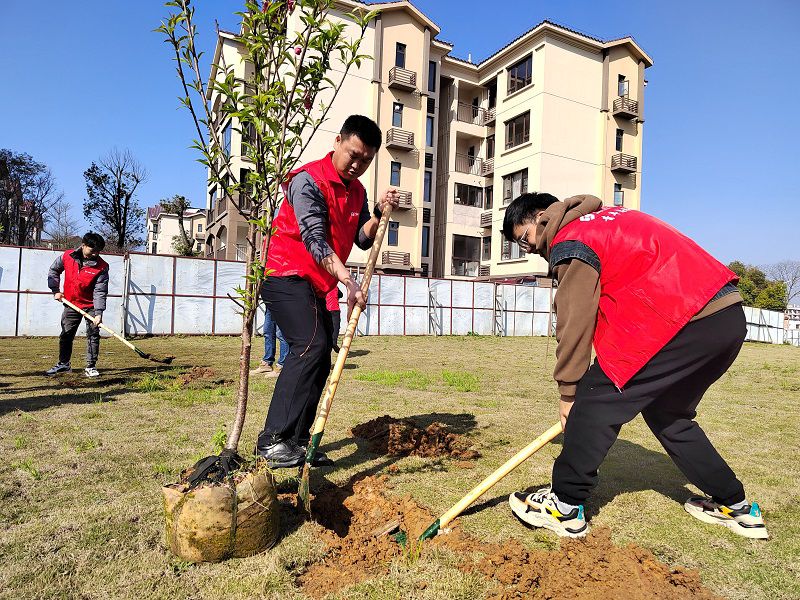 1植樹(shù)節(jié)800.jpg